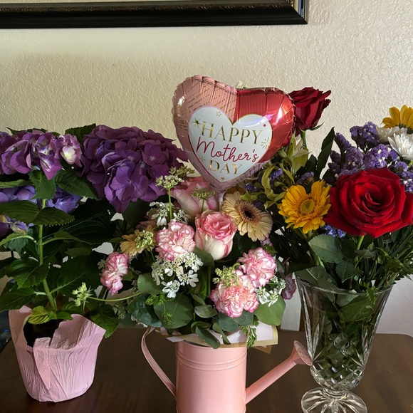 Meet your Posher, Diana - Picture 1 of 1